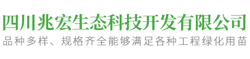 {_CFG[site_title]}